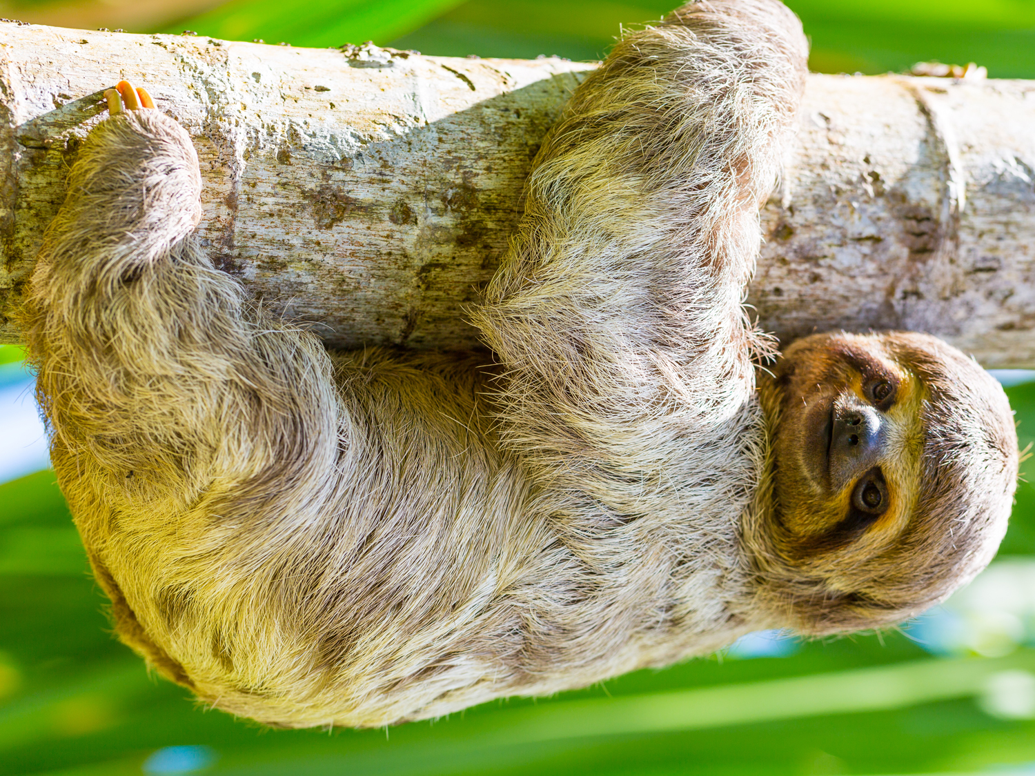 Day 19 - Manuel Antonio National Park