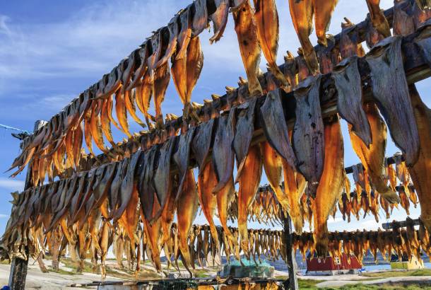 Smoked fish in Greenland - Top Travel Tips - On The Go Tours