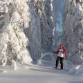 rovaniemi