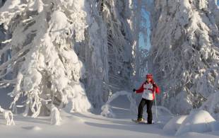 Snow Shoeing - Christmas in Finland - On The Go Tours