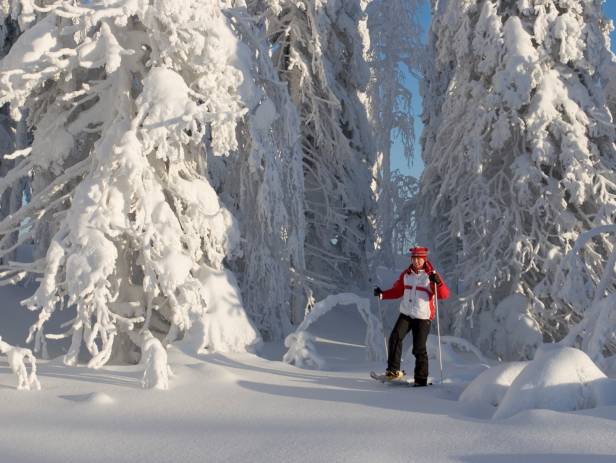 rovaniemi