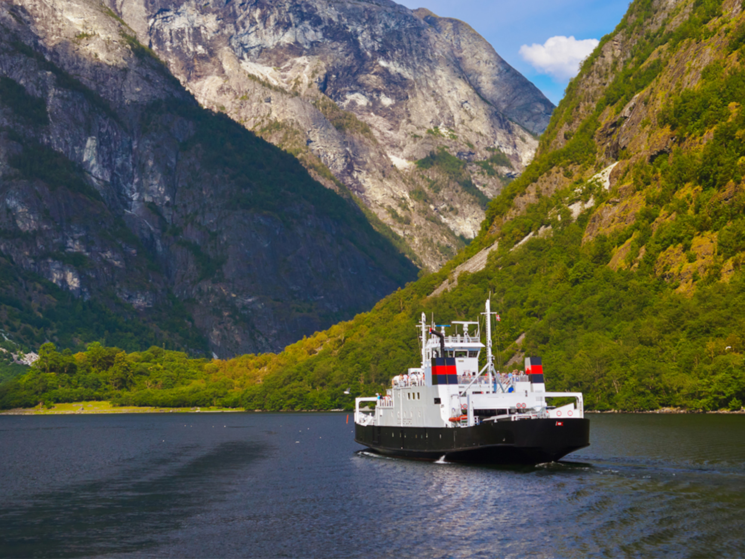 Sognefjord Image
