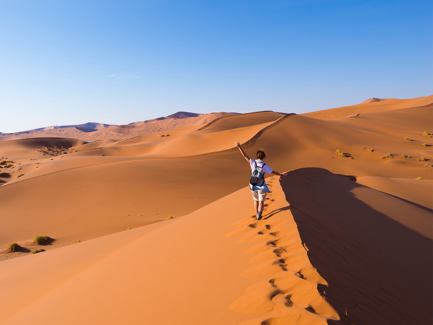Day 5 - Namib Naukluft National Park