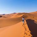 Orange sand dunes stretching into the distance at Sesriem