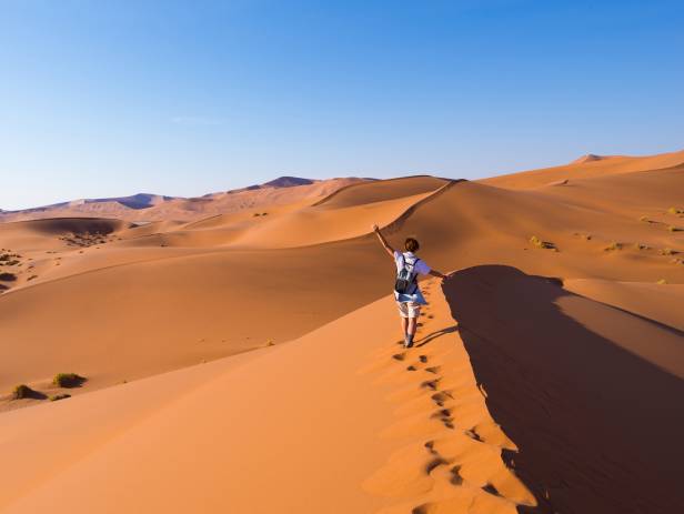 Orange sand dunes stretching into the distance at Sesriem