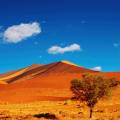 Orange sand dunes stretching into the distance at Sesriem