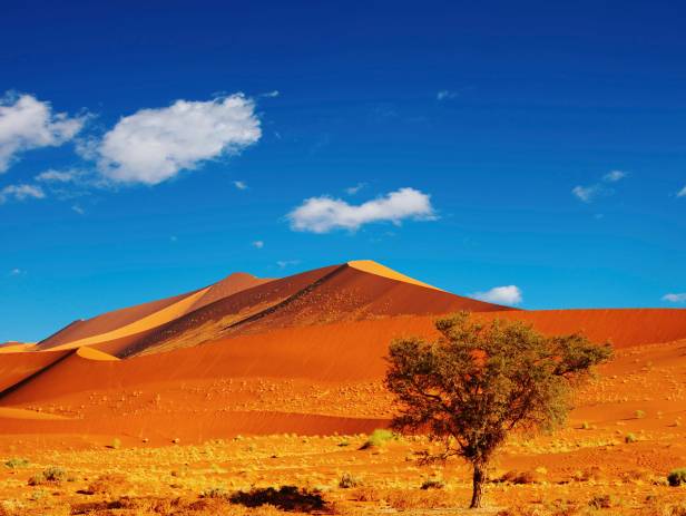 Orange sand dunes stretching into the distance at Sesriem