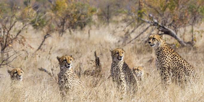 South Africa, Eswatini & Lesotho main image - couple in Hermanus