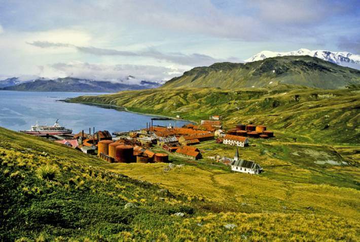 South Georgia - Best Places - Antarctica - On The Go Tours