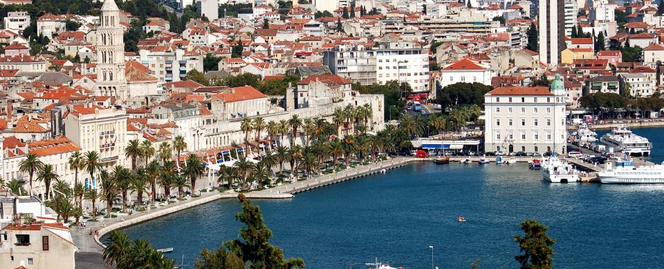 View of the main strip of Split, lined with palm trees along the waterfront
