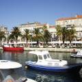 View of the main strip of Split, lined with palm trees along the waterfront