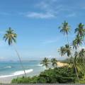 Traditional Sri Lankan boat on the sandy beach in Bentota and Beruwala