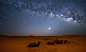 Stars over Sahara