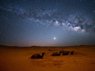 Stars over Sahara
