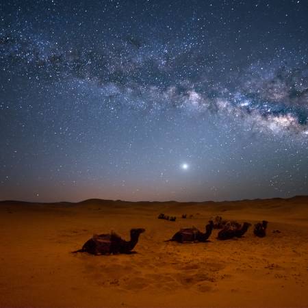 Stars over Sahara