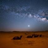 Stars Shining Over the Sahara Desert | Morocco
