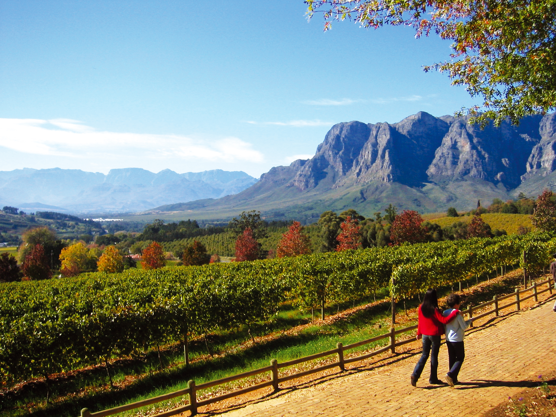 Day 13 - Stellenbosch