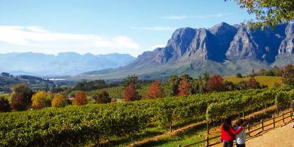 Stellenbosch-And-Garden-Route-Itinerary-2-Lodge-And-Hotel-Safaris-Africa