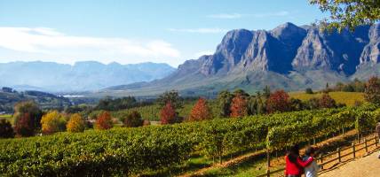Stellenbosch-And-Garden-Route-Itinerary-2-Lodge-And-Hotel-Safaris-Africa