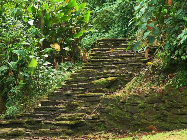 The circular terraces of the Ciudad Perdida, Colombia's Lost City