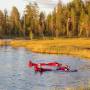 Summer Lake Floating - Finland - On The Go Tours (2)