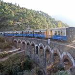 The Himalayan Toy train en route to Shimla | India