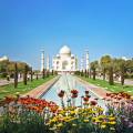 The Taj Mahal reflected in the water in Agra
