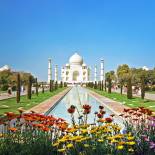 Taj Mahal with colourful flowers in the foreground | India