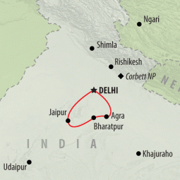 Holi Festival | India 