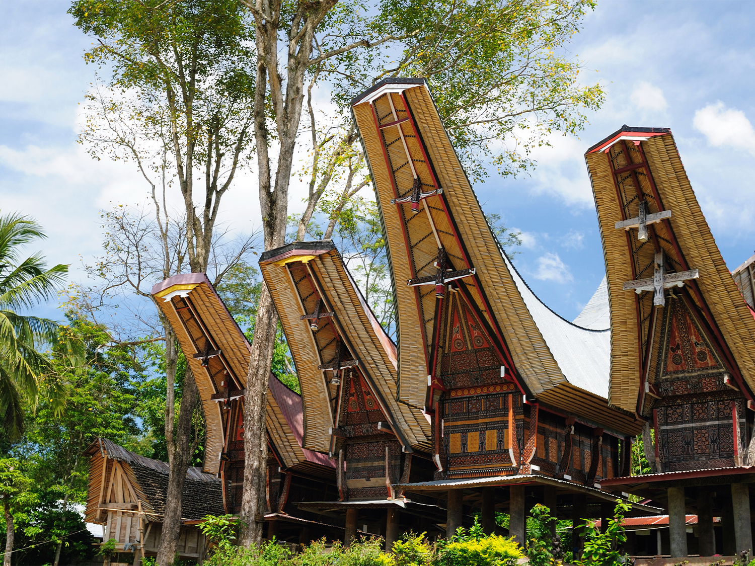 South Sulawesi Discovery - 6 days