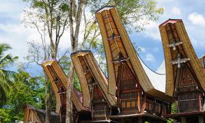 Tana Toraja - South sulawesi - indonesia