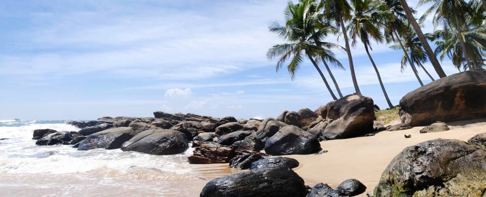 Rocky beach and palm trees in Tangalle