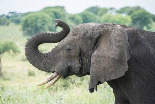 Tanzania - Katavi National Park
