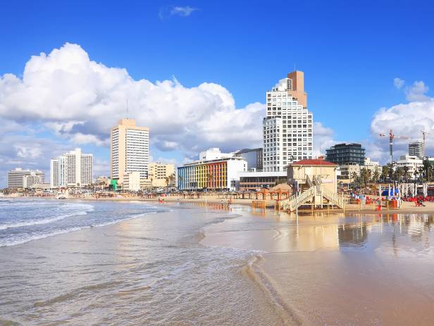 Palm tree in front of the towering skyline of Tel Aviv