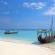 Traditional boats and a beach | Zanzibar