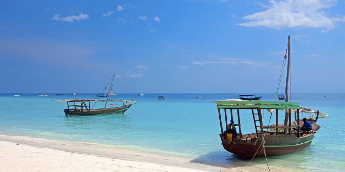 Traditional boats and a beach | Zanzibar