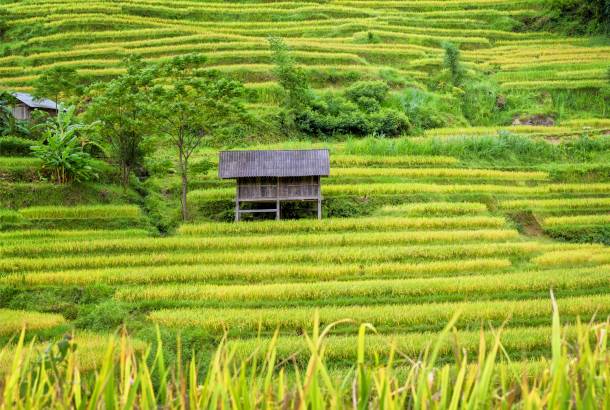 Thai stilt houses of Mai Chau in Vietnam - On the Go Tours