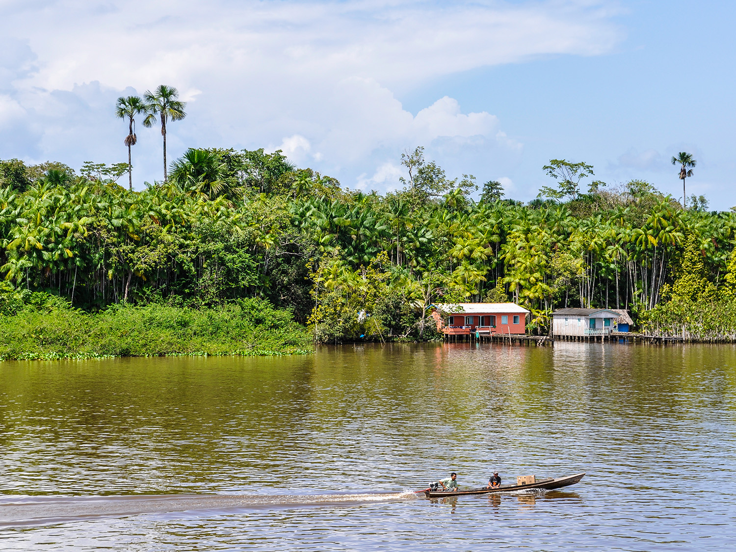 Rio, the Amazon & Iguazu Falls (Deluxe) - 9 days