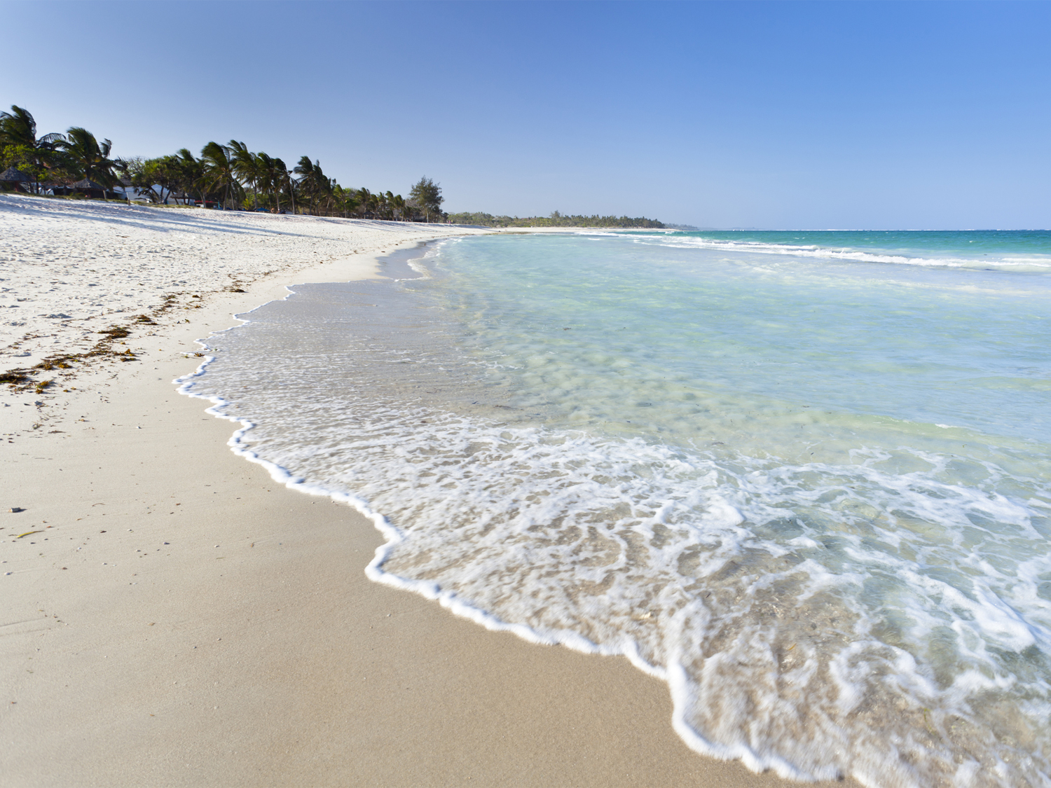 Days 5-8 - Diani