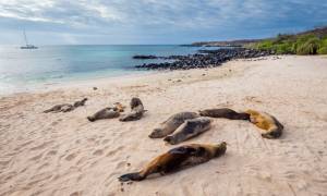 The Galapagos Islands in Ecuador - South America - On The Go Tours 