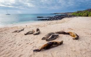 The Galapagos Islands in Ecuador - South America - On The Go Tours 