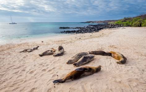 The Galapagos Islands in Ecuador - South America - On The Go Tours