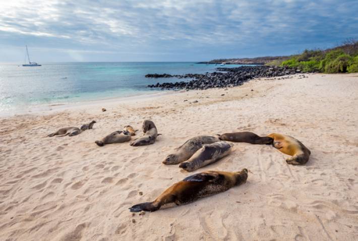 The Galapagos Islands in Ecuador - South America - On The Go Tours 