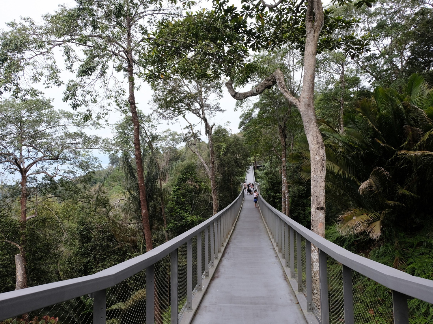 The Habitat Penang Hill - Malaysia