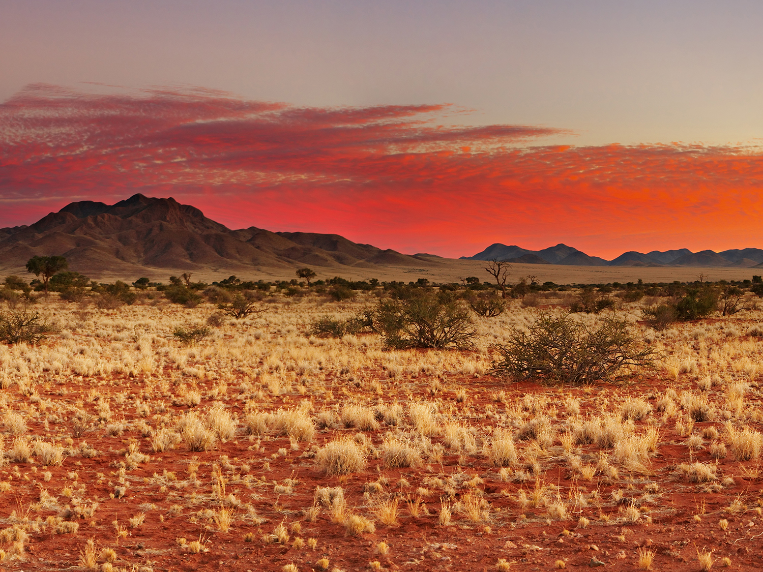 Days 14-15 - Kgalagadi Transfrontier Park