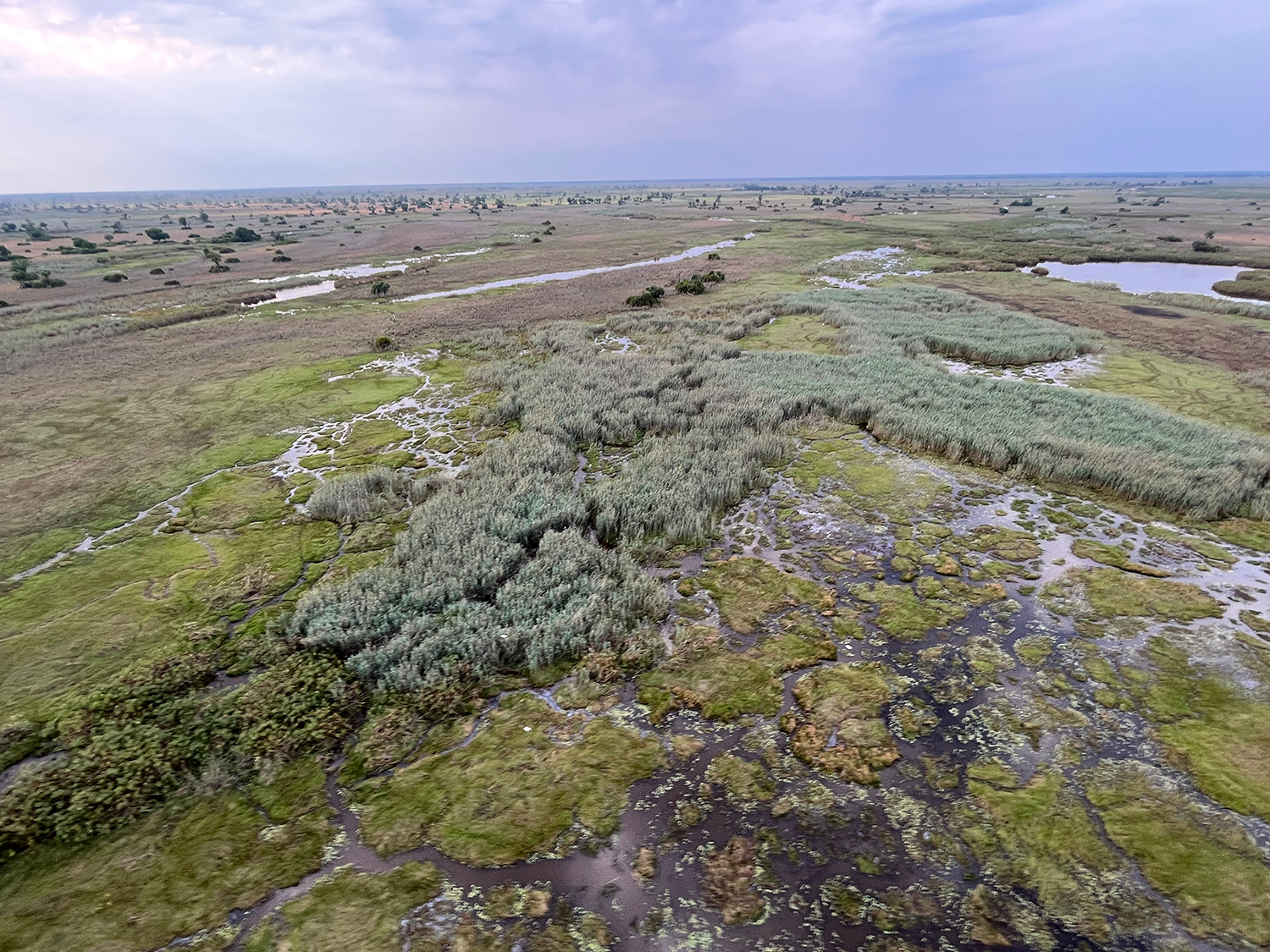 Days 14-15 - Okavango Delta