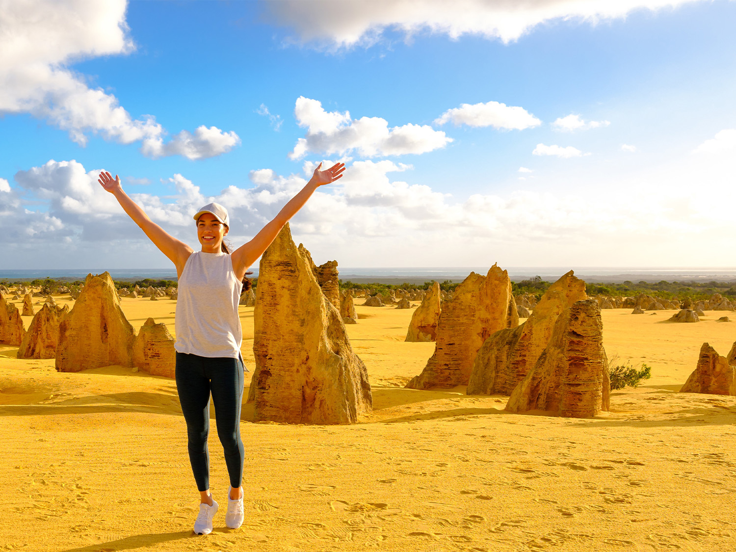 Day 3 - Dolphins, Wildlife & Coastal Drive