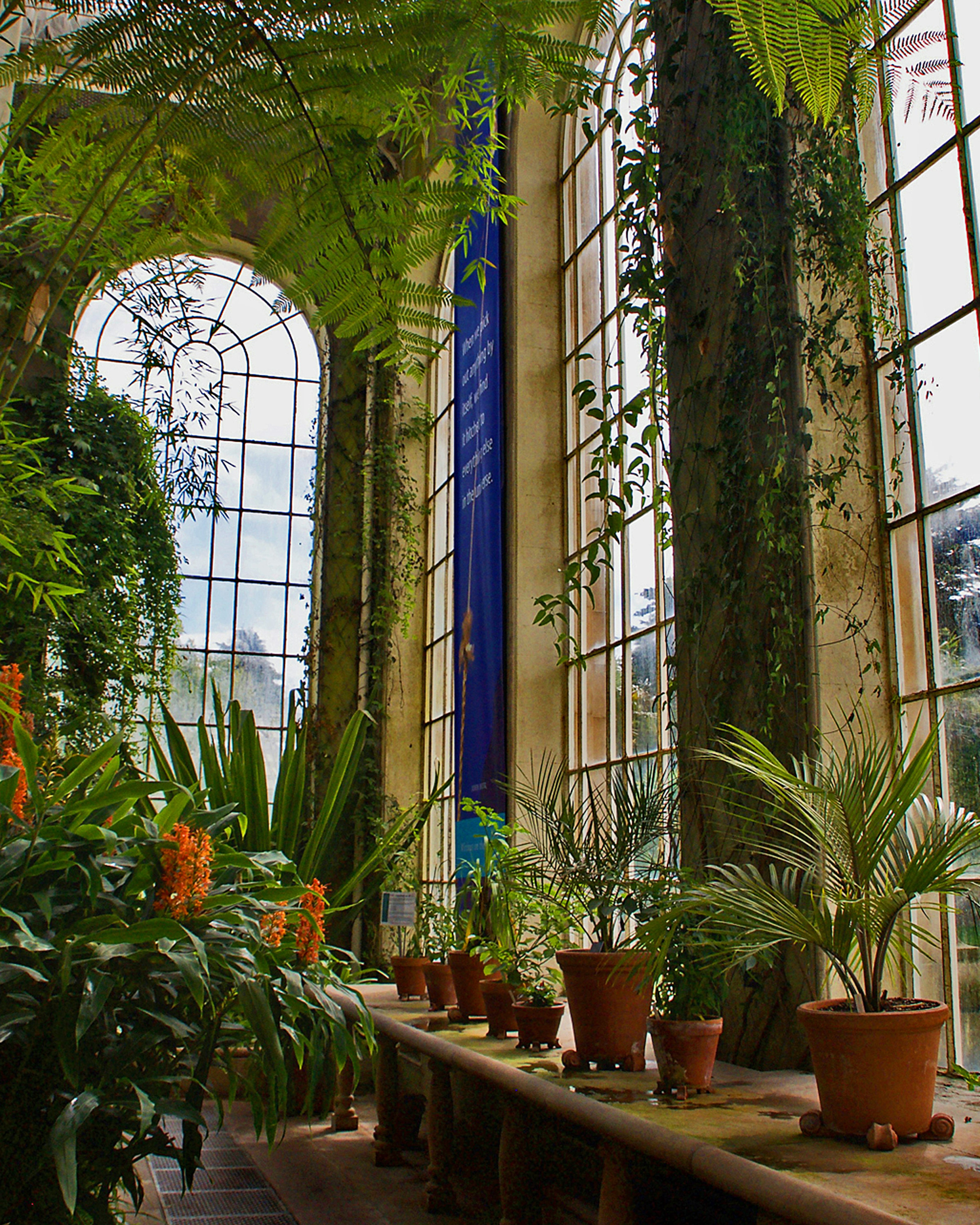 The Royal Botanic Garden Edinburgh 