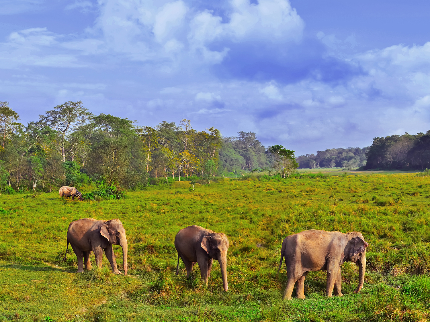 Day 14 - Journey to Chitwan National Park