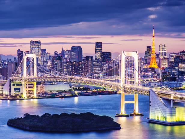 Rainbow Bridge, stretching across the water in Tokyo, lit up at night